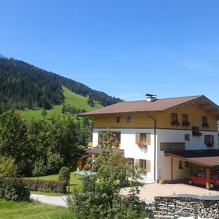 Frühstückspension Wagrain - Viktoria Flasch Exterior foto