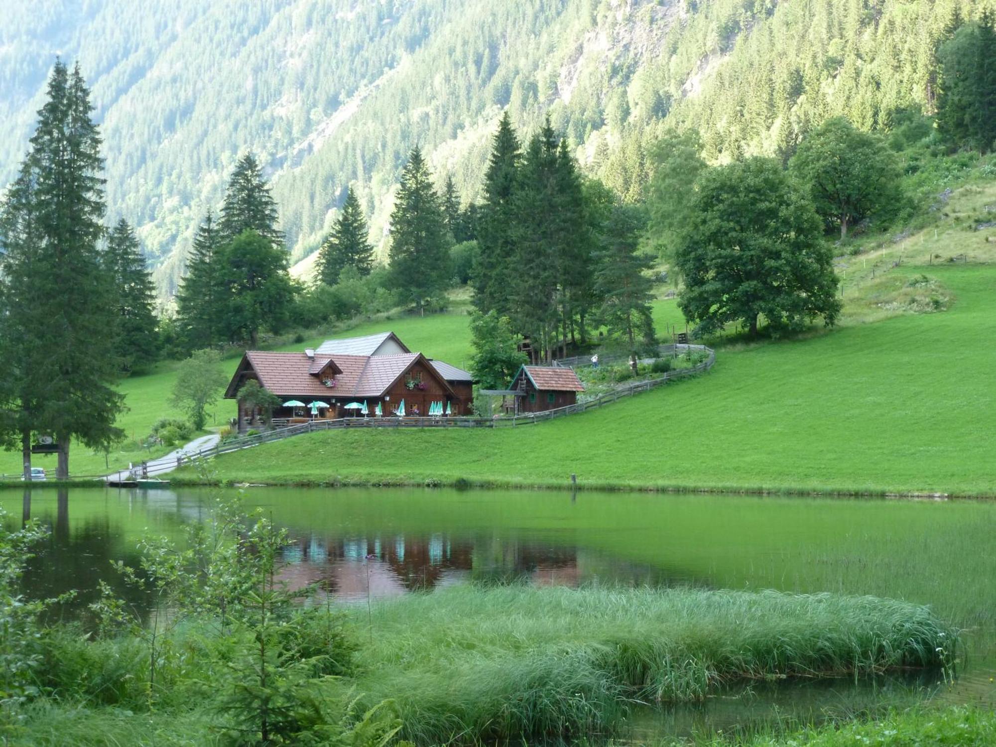Frühstückspension Wagrain - Viktoria Flasch Exterior foto